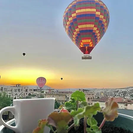 Hotel Pashahan 3*